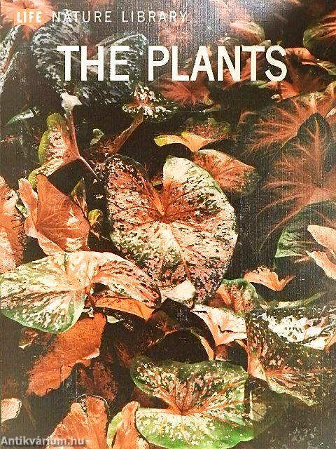 The Plants