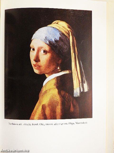 Vermeer van Delft életregénye