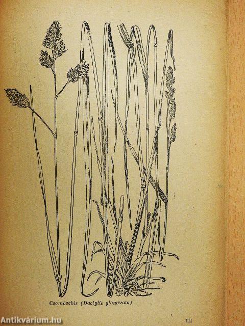 Legelő- és rétgazdálkodás