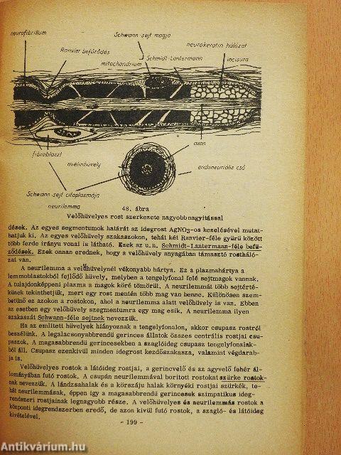 Általános állattan I.