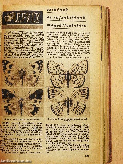 Élet és Tudomány 1952. (nem teljes évfolyam)