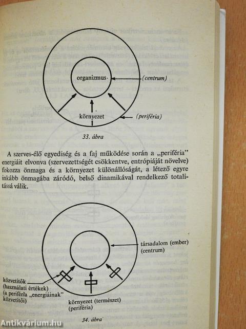 Társadalmi lét és kultúra (dedikált példány)