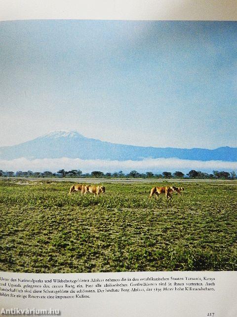 Die letzten Paradiese