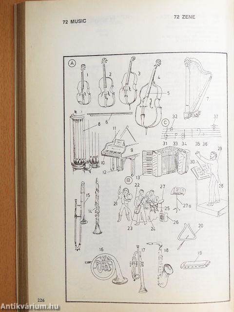 Képes brit és amerikai angol-magyar szótár