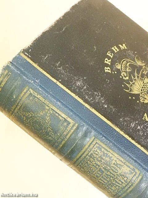 Brehm - Az állatok világa 2.