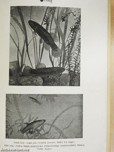 Brehm - Az állatok világa 2.