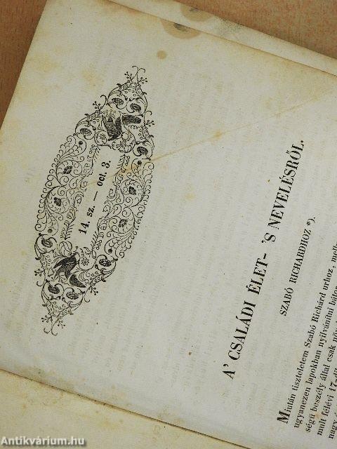 Életképek 1846. (fél évfolyam)