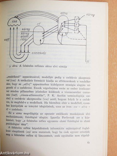 Információs pszichológia és didaktika