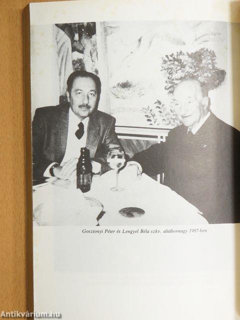 Légiveszély, Budapest!