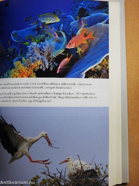 Egy élet a bolygónkon