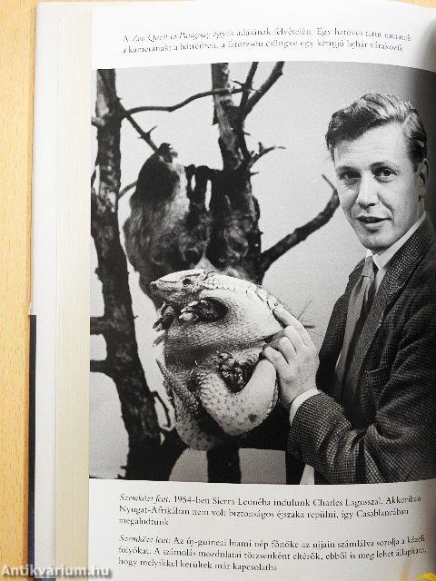 Egy élet a bolygónkon