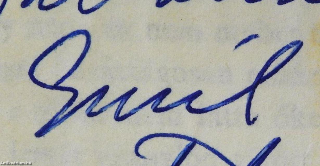 Csendes rév a háztetőn (dedikált példány)