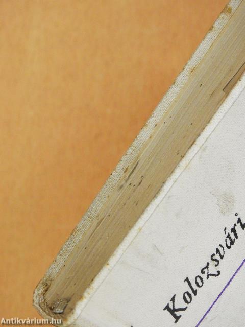 Csendes rév a háztetőn (dedikált példány)