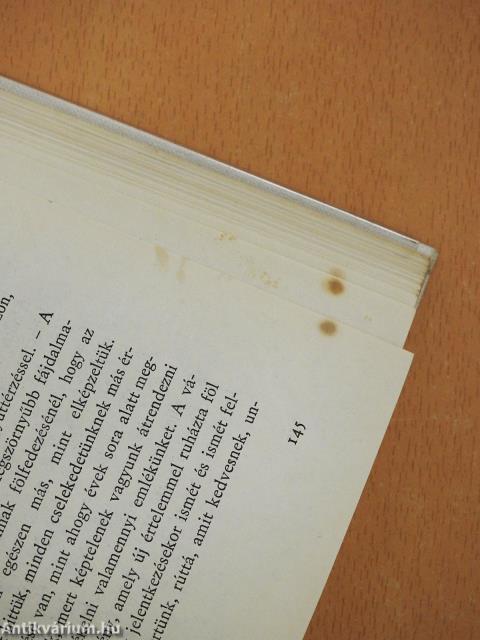 Csendes rév a háztetőn (dedikált példány)