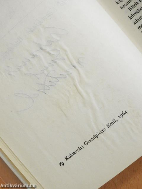 Csendes rév a háztetőn (dedikált példány)