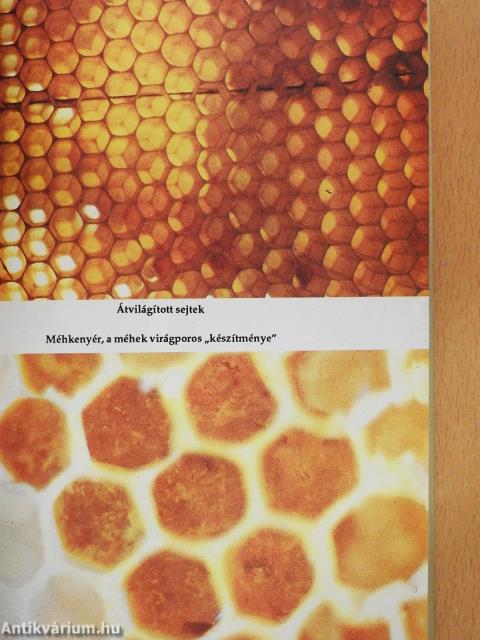 Méhdoktor (dedikált példány)