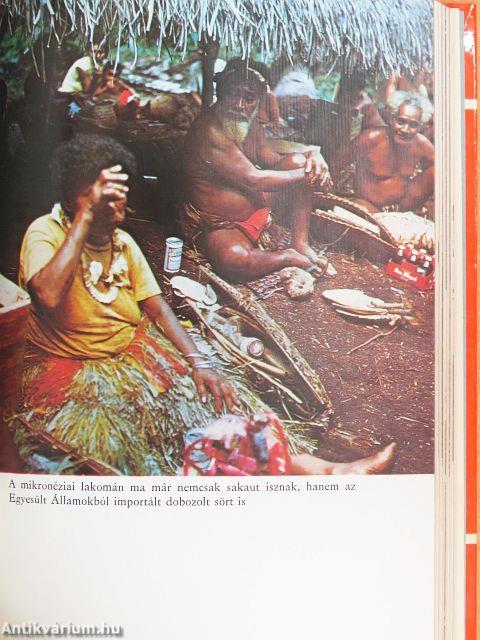 Keresztül-kasul Mikronézián