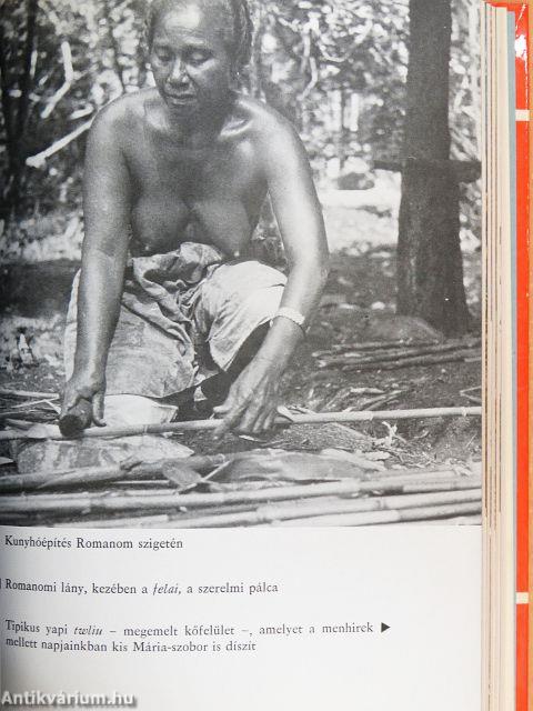 Keresztül-kasul Mikronézián