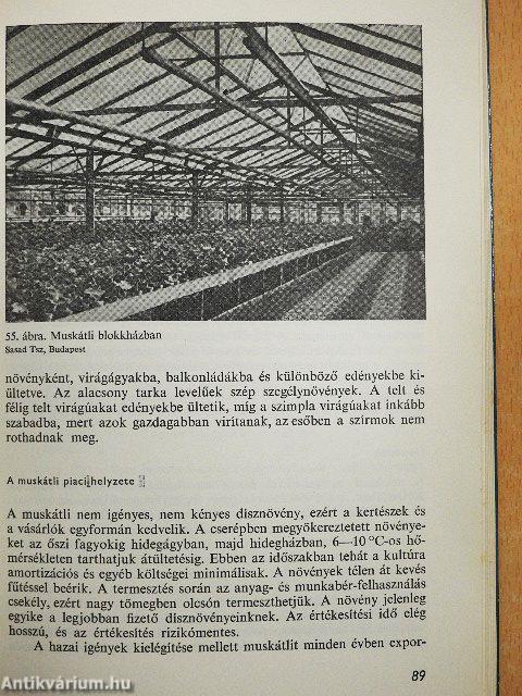 Cserepes dísznövények termesztése