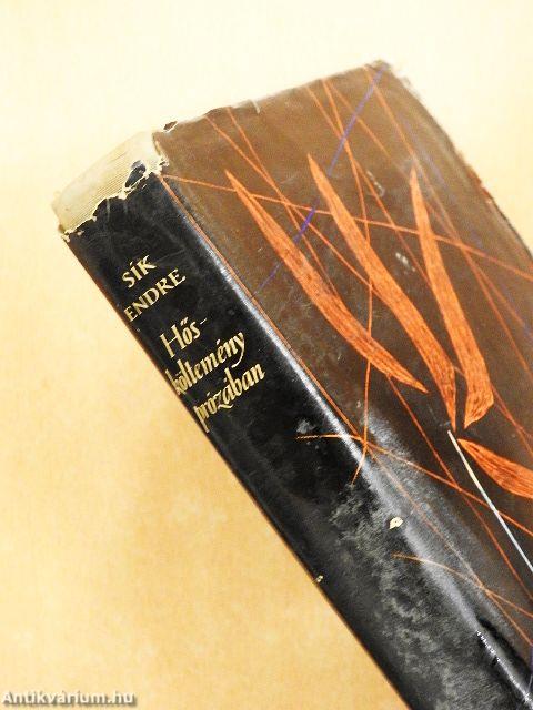 Hősköltemény prózában