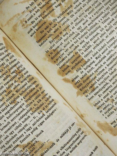 Pesti Divatlap 1847. (nem teljes évfolyam)