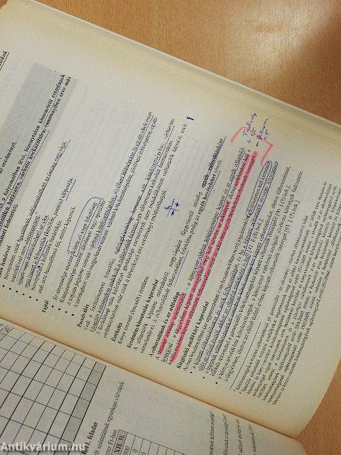 Számviteli esettanulmányok 2009.