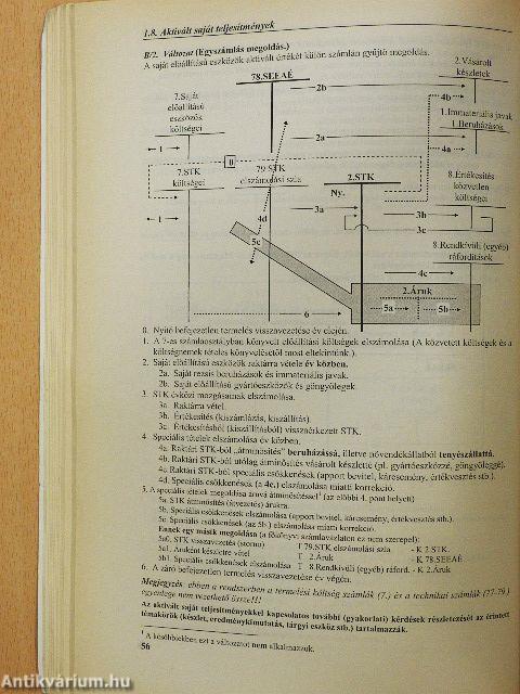 Számviteli esettanulmányok 2009.