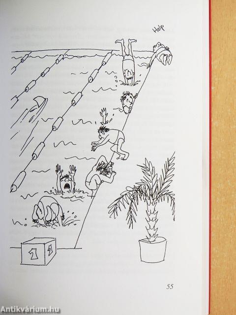 A nyelvtanulás művészetéről