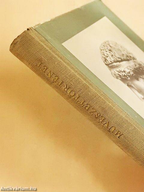 Művészettörténet