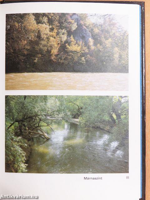 Sporthorgász ábécé