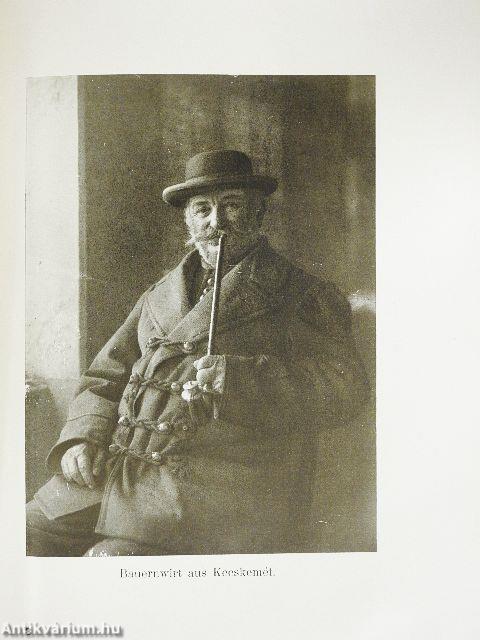 Magyar közgazdaság és kultúra I-III. (nem teljes)