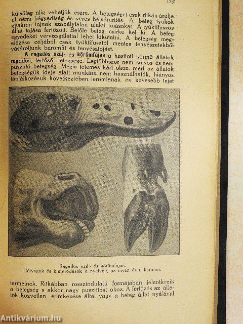 Állattenyésztési ismeretek III-IV.