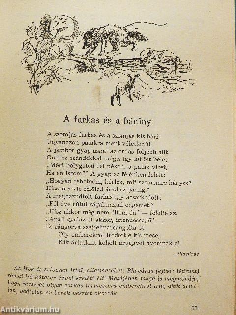 Magyar irodalmi olvasókönyv 5.