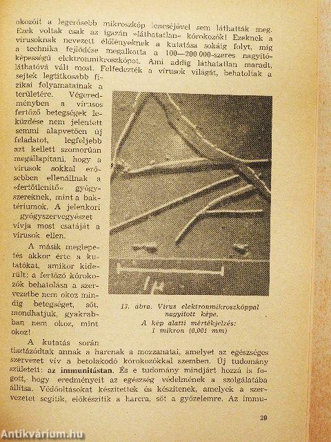 Tudomány, technika, élet