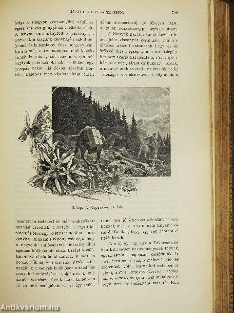 Természettudományi Közlöny 1903. január-december/Pótfüzetek a Természettudományi Közlönyhöz 1903. január-december