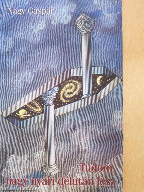 Tudom, nagy nyári délután lesz (dedikált példány)