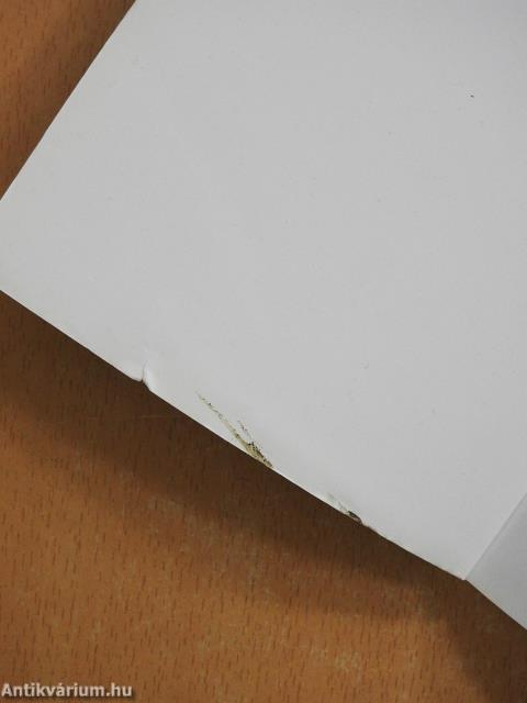 Tudom, nagy nyári délután lesz (dedikált példány)