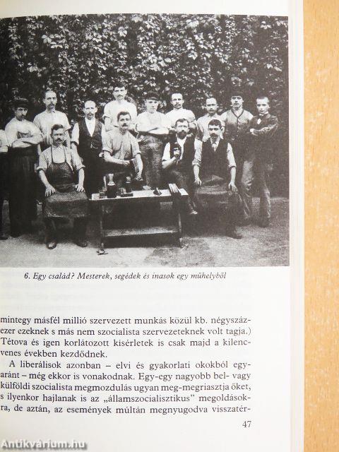 A szociáldemokrácia és a magyar társadalom 1914-ig