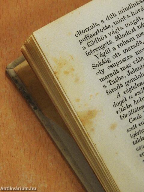 Amíg világ a világ