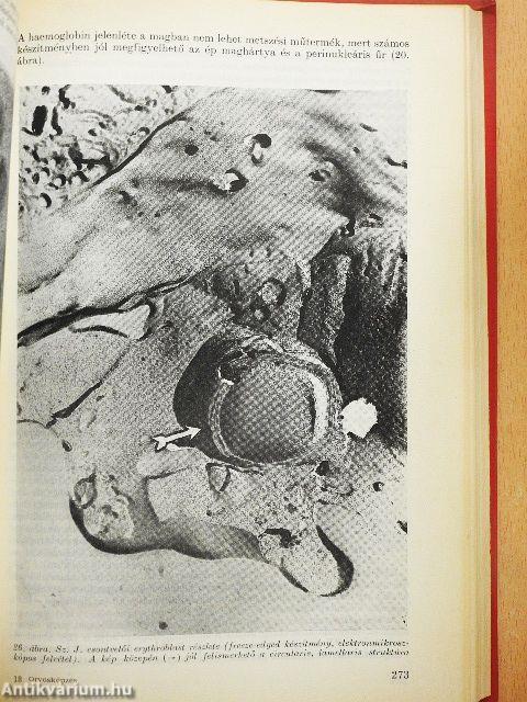 Orvosképzés 1971. január-december + Antigének különszám