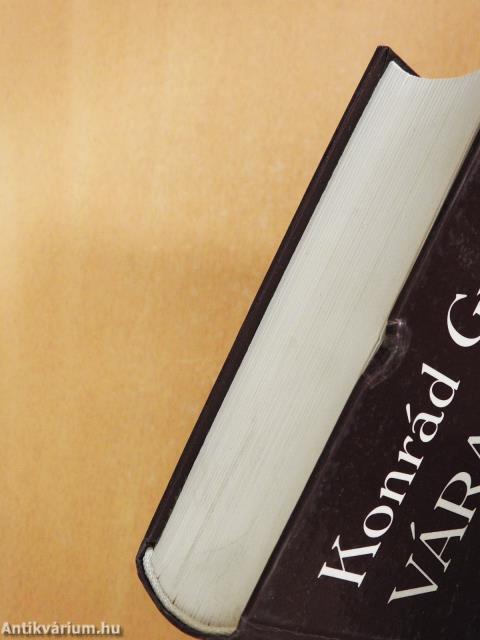 Várakozás (dedikált példány)