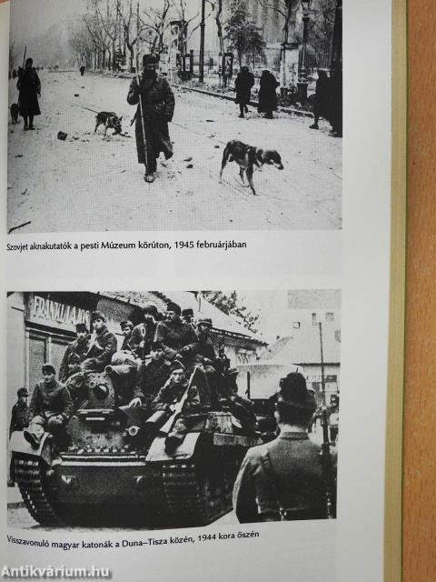 Vihar Kelet-Európa felett (dedikált példány)