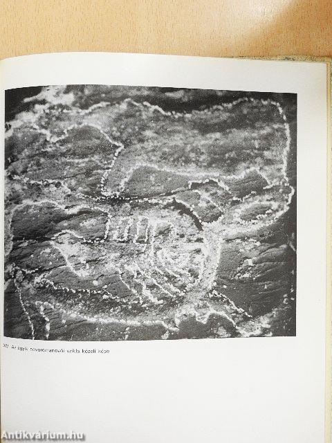 Szibériai sziklarajzok