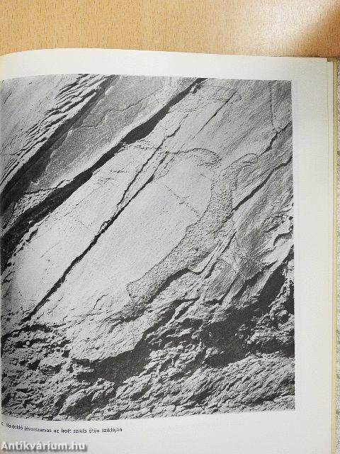 Szibériai sziklarajzok