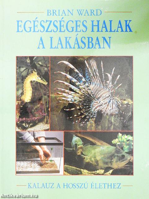 Egészséges halak a lakásban