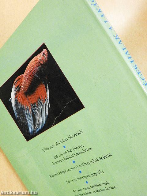 Egészséges halak a lakásban