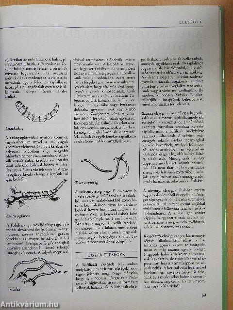 Egészséges halak a lakásban
