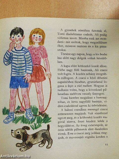Ali csacsi és a többiek