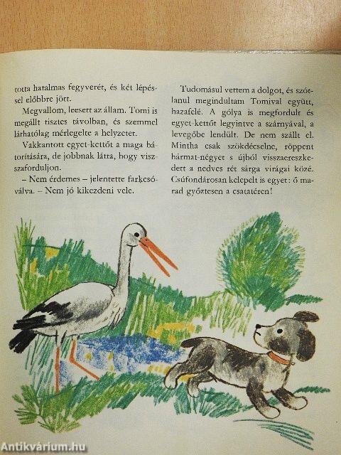 Ali csacsi és a többiek