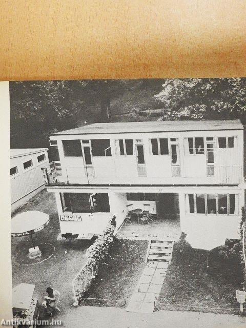 A funkcionalizmus térhódítása és válsága